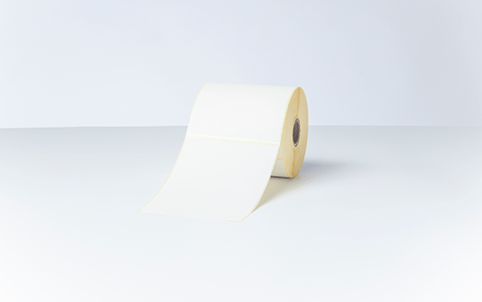 BDE-1J152102-102 voorgestanste labelrol: 102 x 152 mm – direct thermisch - wit (350 labels/rol) BDE-1J152102-102 voorgestanste labelrol: 102 x 152 mm – direct thermisch - wit (350 labels/rol)