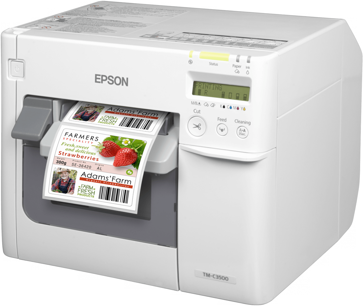 Epson C3500