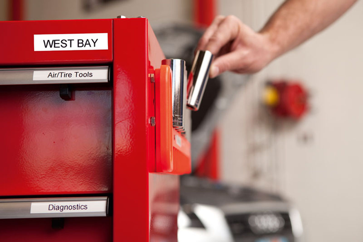 Rhino ID in workshop Rhino ID in workshop